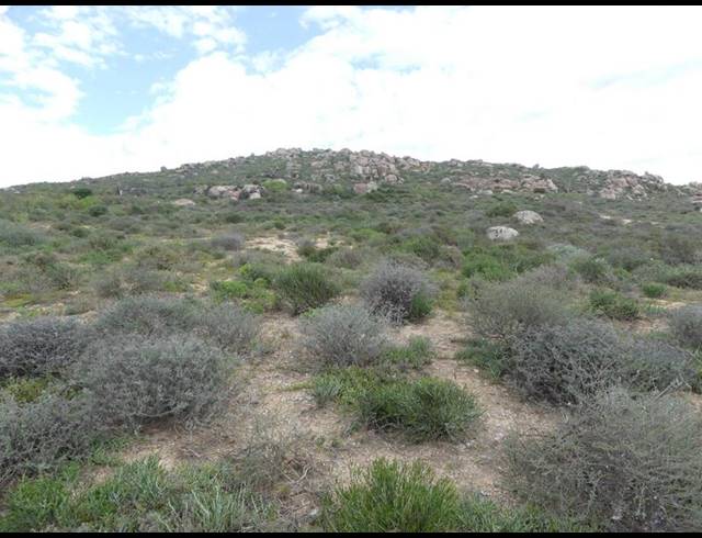 LAND FOR SALE IN ST HELENA VIEWS